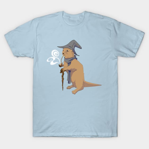 Wizard T-Shirt by JeranaDesigns